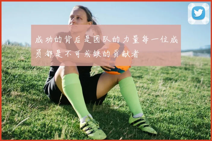 成功的背后是团队的力量每一位成员都是不可或缺的贡献者