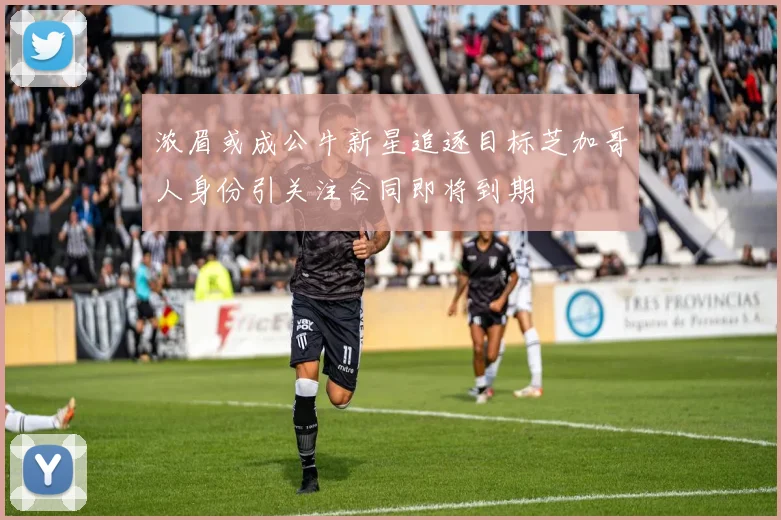 浓眉或成公牛新星追逐目标芝加哥人身份引关注合同即将到期